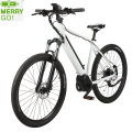 Lithium Battery Operated Electric Road Bicycles/ Green Powered E Bike for Sale